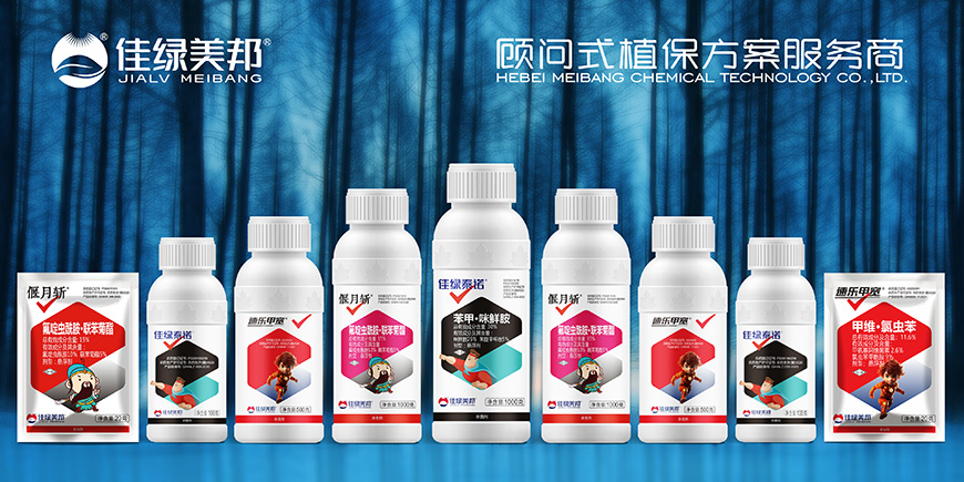 佳绿美邦——“智慧盾牌”让产品脱颖而出、超级符号就是超级价值！