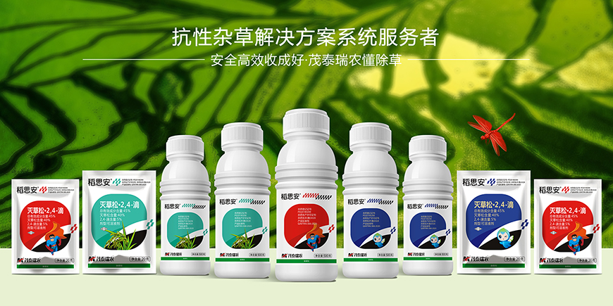 茂泰瑞农——更极具东方之美的价值符号、让产品传播更有效！